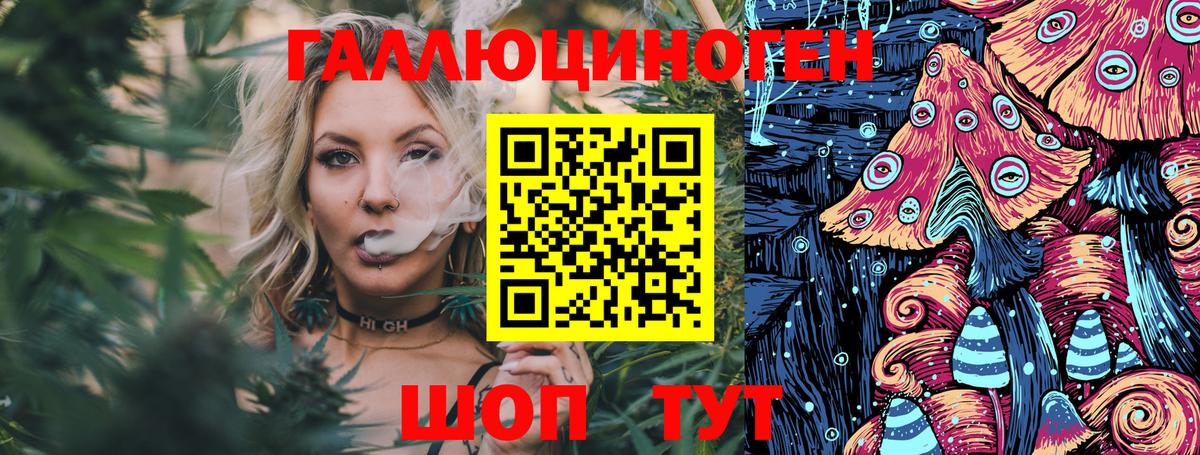 Галлюциногенные грибы Psilocybe Ангарск